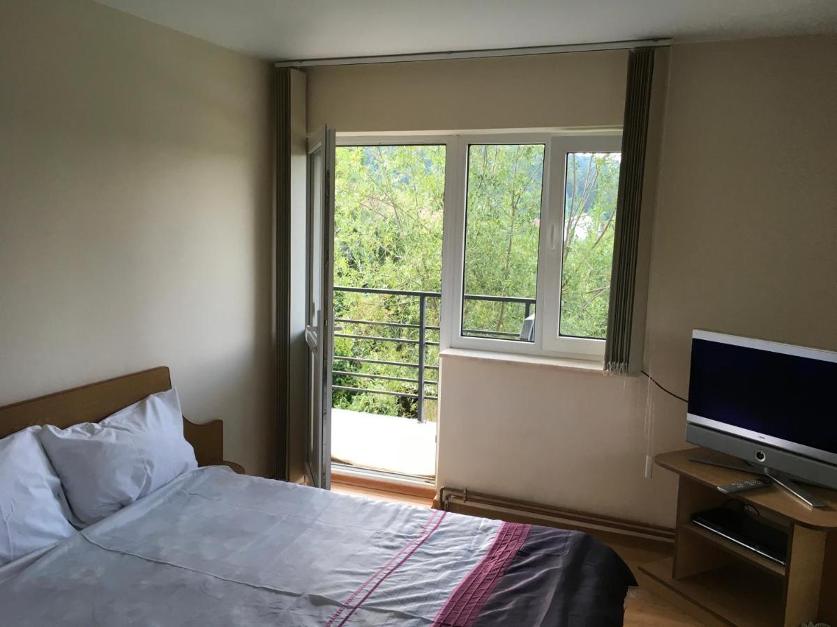 Ferienwohnung Casa Pelerinului Capatineni-Paminteni Exterior foto
