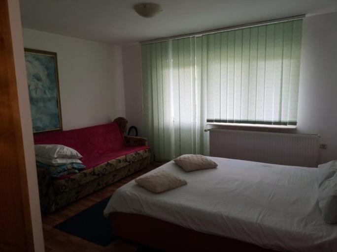 Ferienwohnung Casa Pelerinului Capatineni-Paminteni Exterior foto